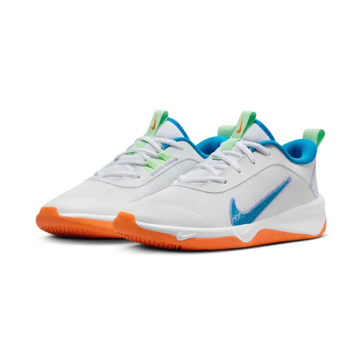 nike-omni-multi-court DM9027-107