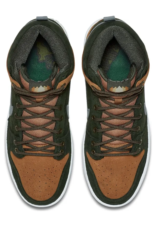 nike-dunk 839693-302