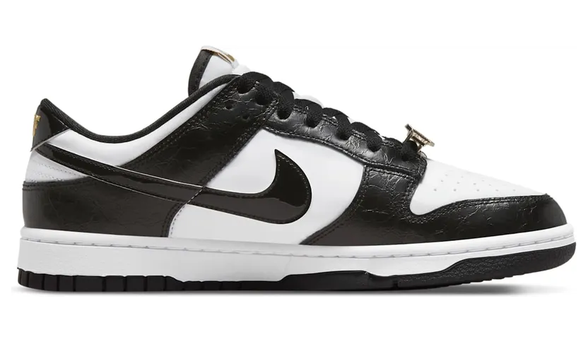 nike-dunk DR9511-100