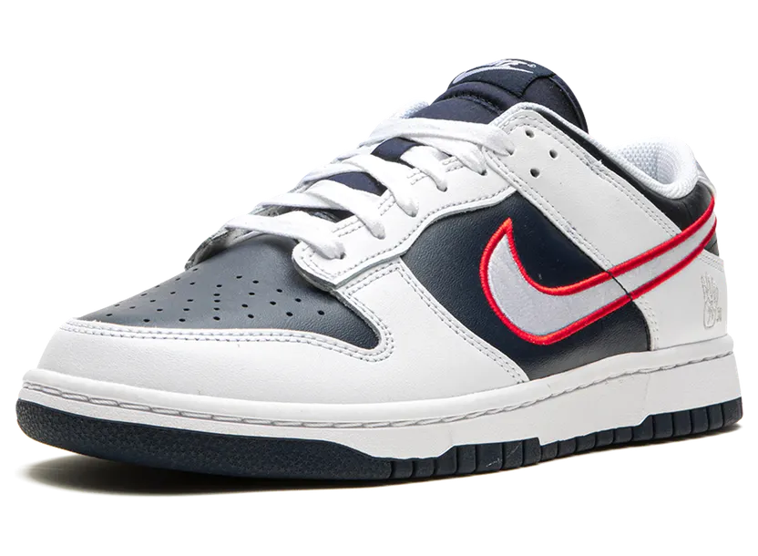 nike-dunk DZ2780-100