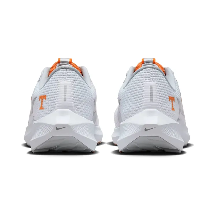 nike-air-pegasus DZ5980-100