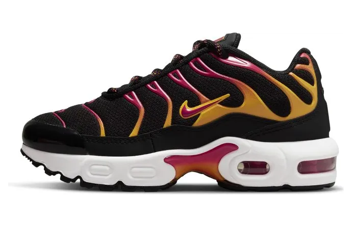 Nike Air Max Plusen Zwart (DX9265-001)