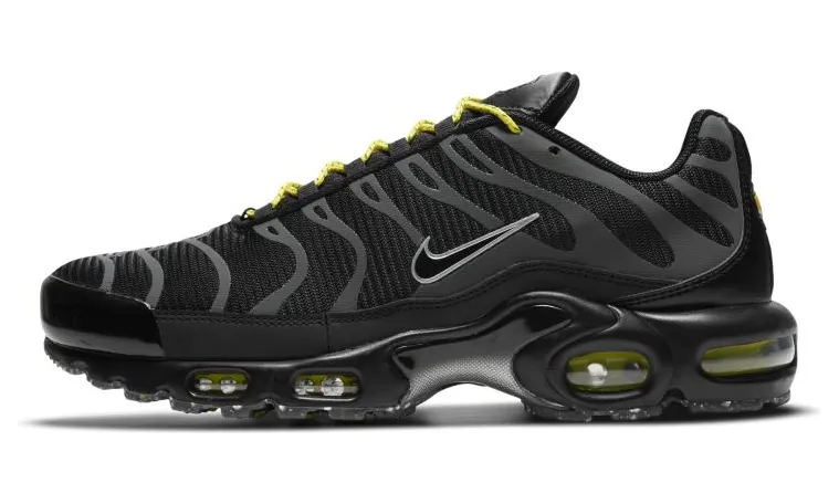 Nike Air Max Plus Zwart (DD7112-002)