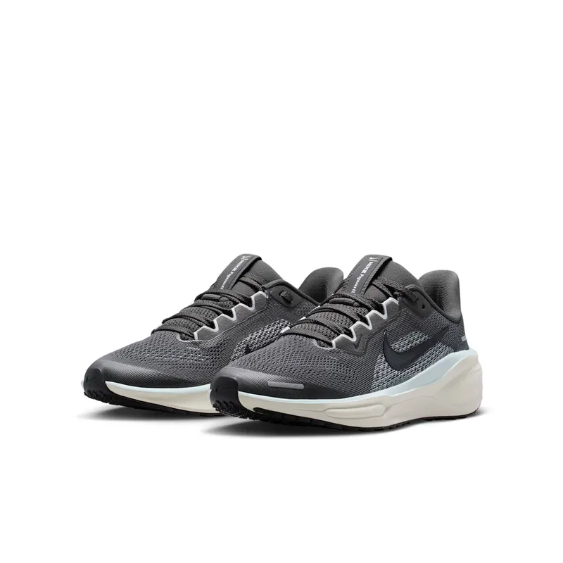 Nike Air Zoom Pegasus 41 Medium Ash Pale Ivory Black (FN5041-201)