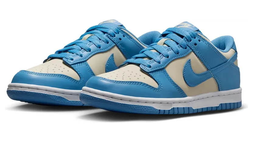 nike-dunk FB9109-400