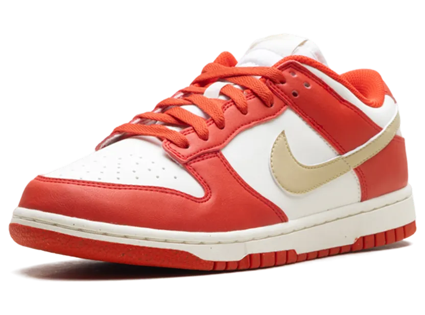 nike-dunk DD1873-602