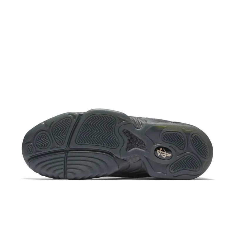 Nike Air Penny IV Copper Wolf Grey/Anthracite-Metallic Copper Coin (864018-002)