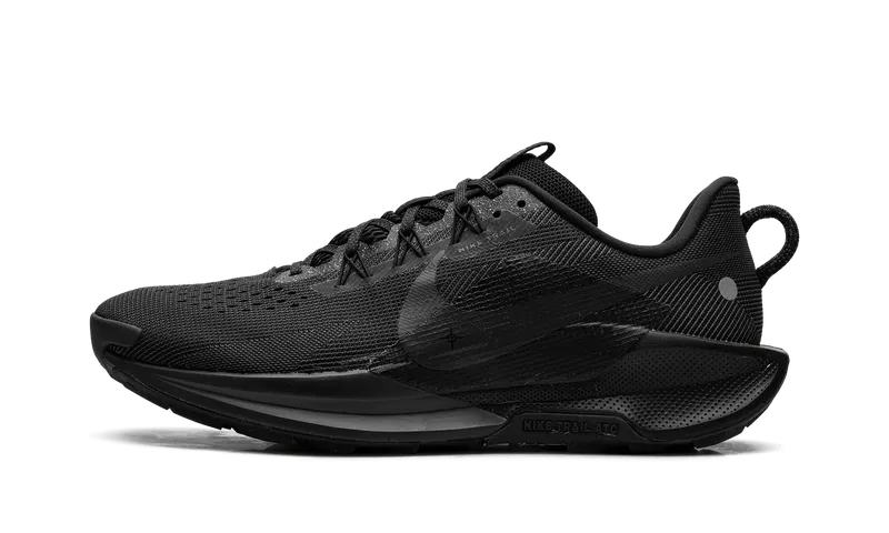 Nike Pegasus Trail 5 “Black” (DV3864-002)
