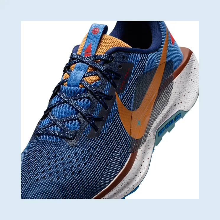 nike-air-pegasus DV3864-400