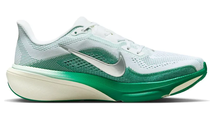 nike-air-pegasus IB1881-100