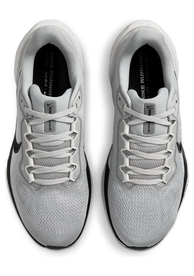 nike-air-pegasus HQ3509-077