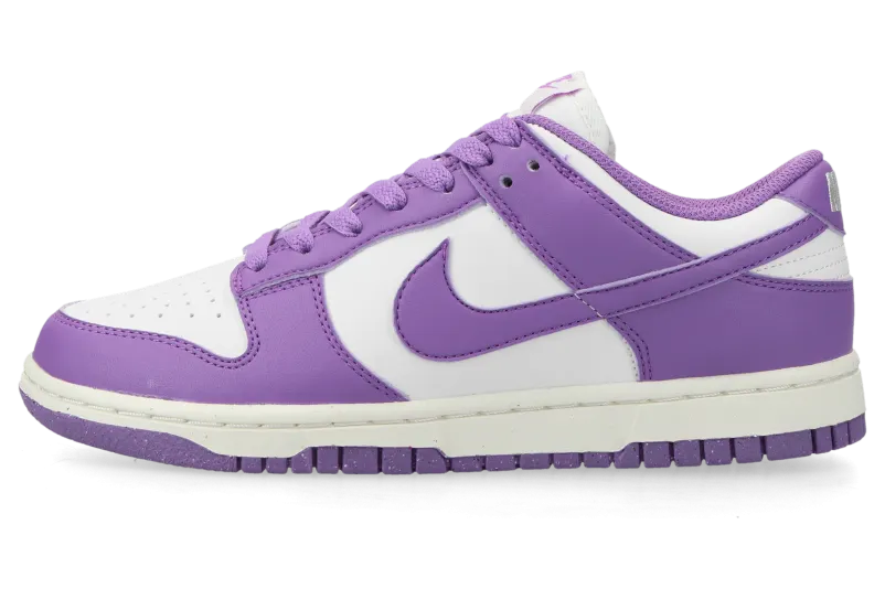 nike-dunk DD1873-108
