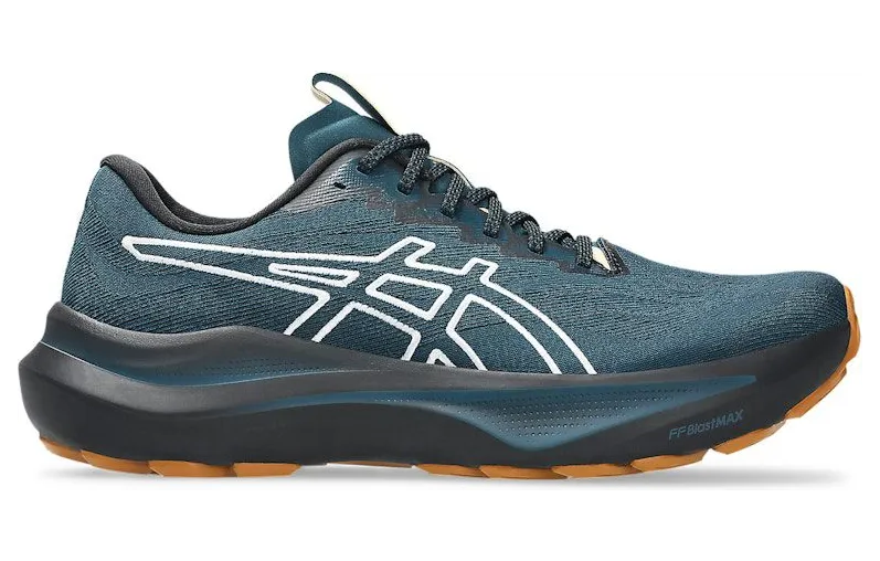 asics-gt-2000-2 1011C129-300