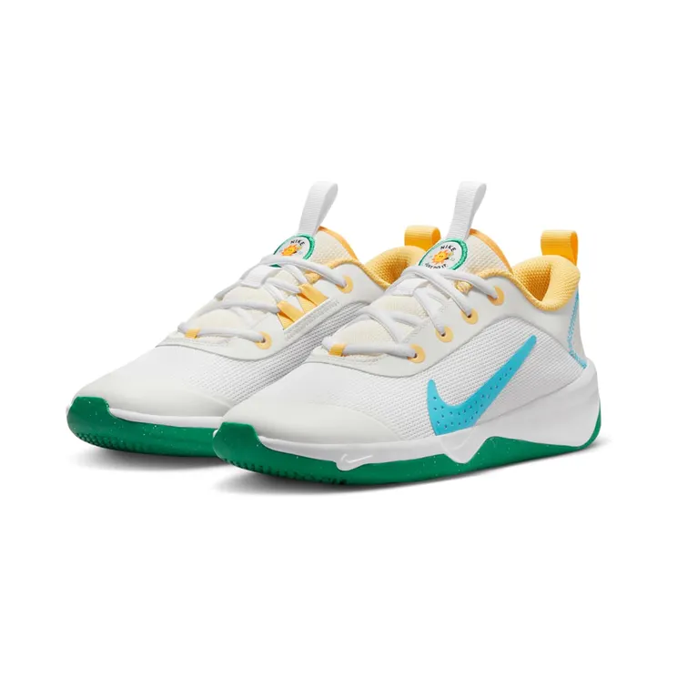 nike-omni-multi-court FJ7719-141