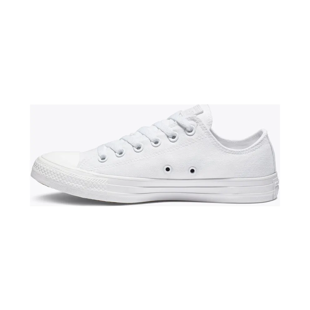 Converse Mono Colour Chuck Taylor All Star Low Top (1U647)