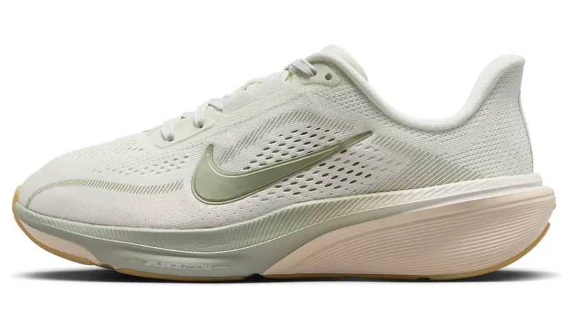 nike-air-pegasus IH2306-001