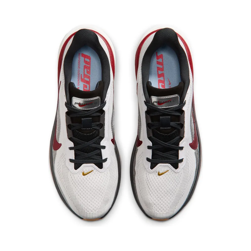 Nike Air Zoom Pegasus 42 Now & Then Pack (IV5659-121)