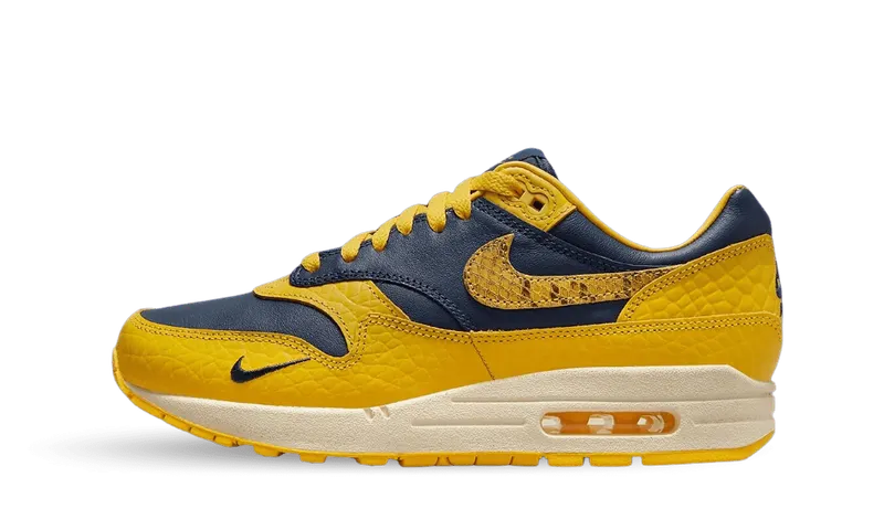 Nike Air Max 1 CO.JP Michigan Head to Head (W) (FJ5479-410)