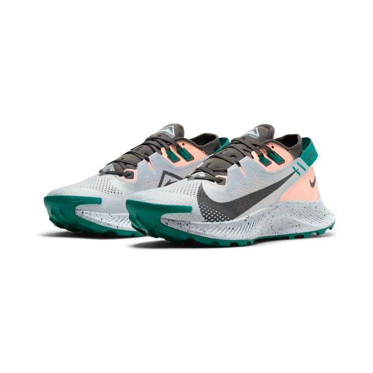 nike-air-pegasus CK4309-004