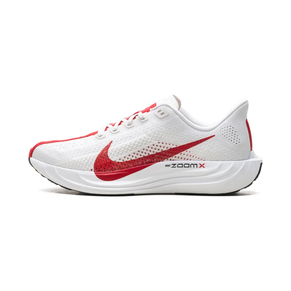 Nike Pegasus Plus “Platinum Tint University Red” (FQ7262-003)
