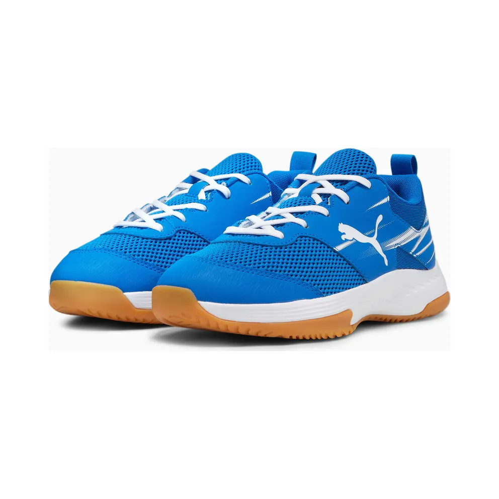 Puma Varion II Indoor Shoes White/Blue (107342-03)