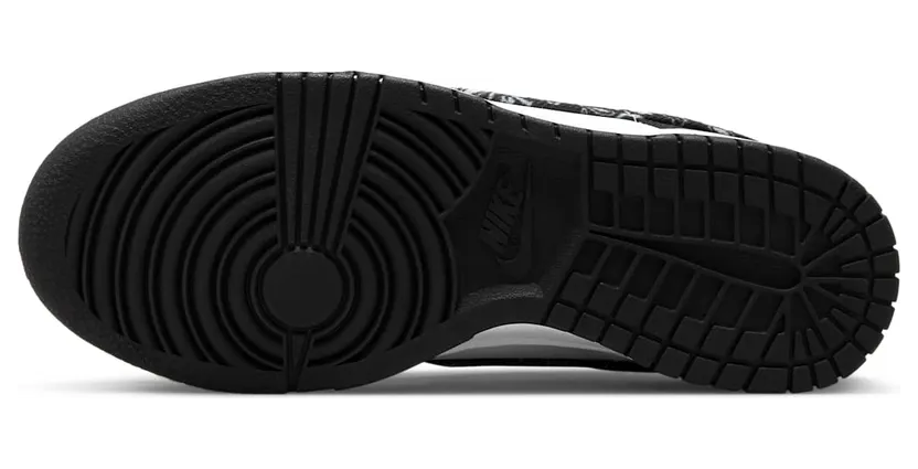 nike-dunk DH4401-100