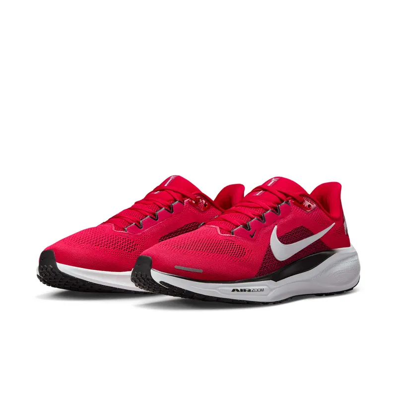 Nike Air Zoom Pegasus 41 “Ohio State” (IB3254-600)