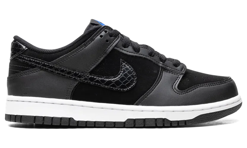 nike-dunk FV7472-001