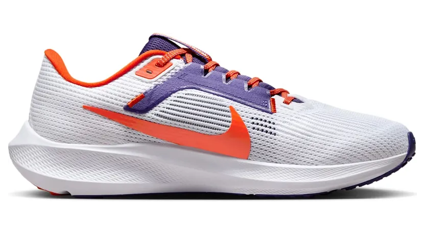 nike-air-pegasus DZ5966-100