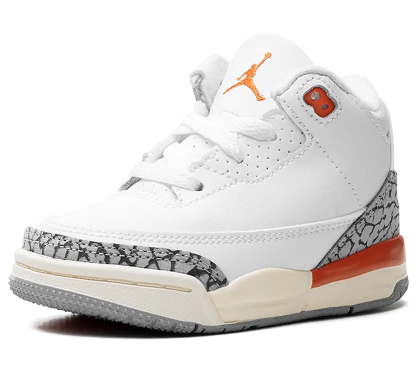 air-jordan-3 FQ9175-121