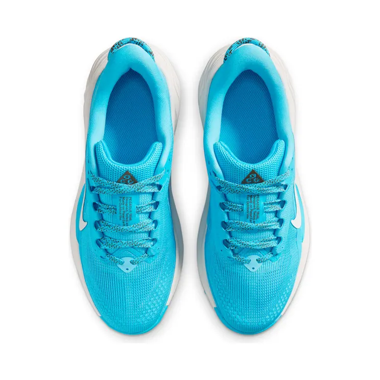 nike-air-pegasus IH2305-400