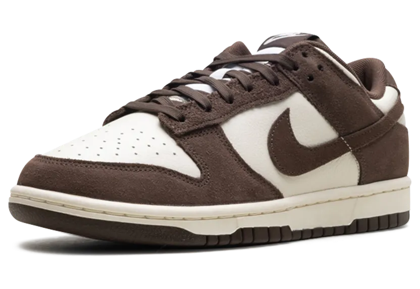 nike-dunk FQ8249-104