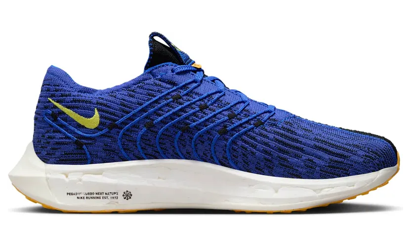 nike-air-pegasus DM3413-401