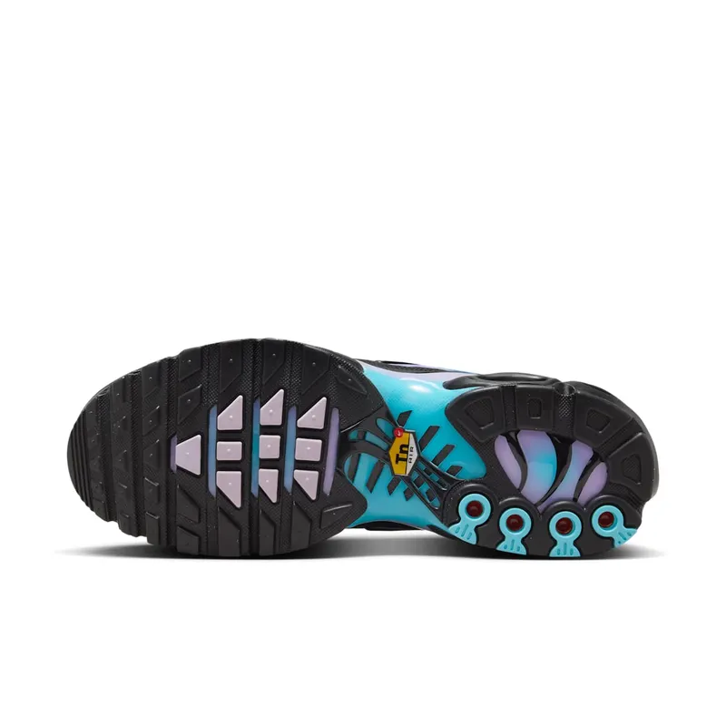 Nike Air Max Plus Black Hydrangeas (HV2510-001)
