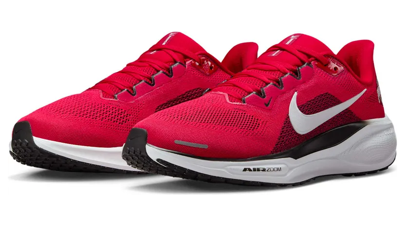 nike-air-zoom IB3254-600