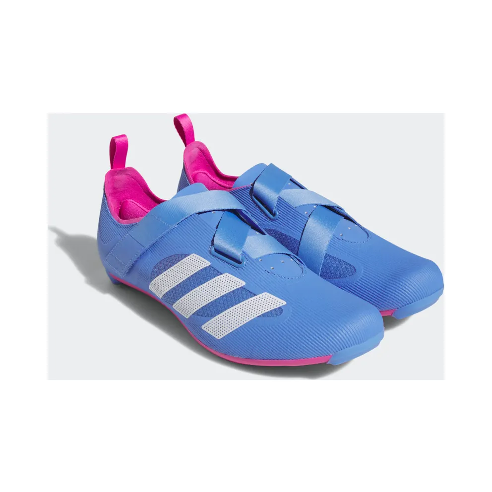 adidas THE INDOOR Cycling Shoe Blue Fusion / Cloud White / Lucid Fuchsia (HP5398)