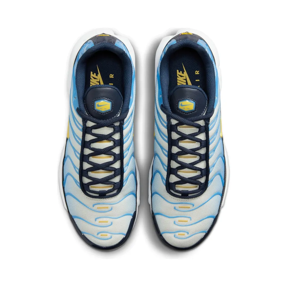 Nike Air Max Plus University Blue Topaz Gold (FD9871-400)