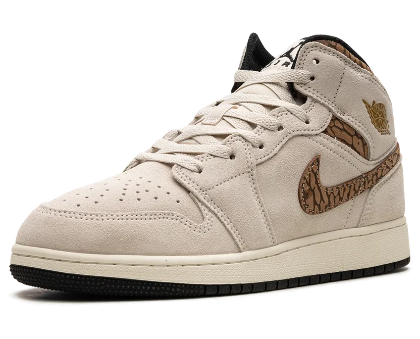 air-jordan-1 DZ5369-102