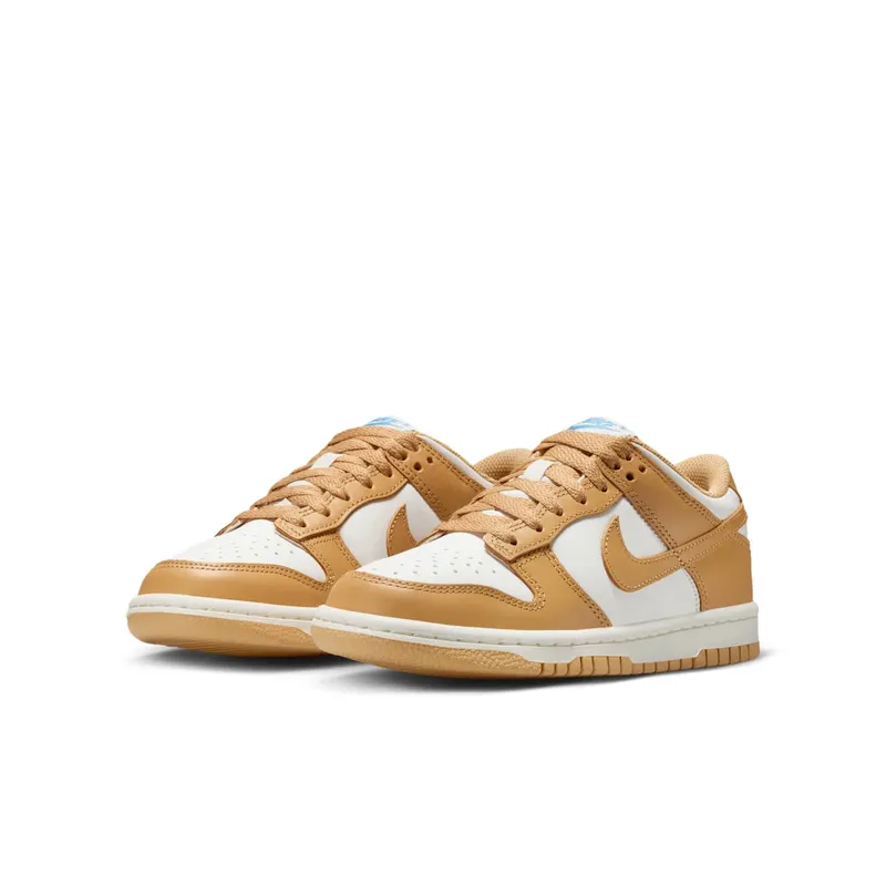 Nike Dunk Low GS “Honeycomb” (FB9109-700)