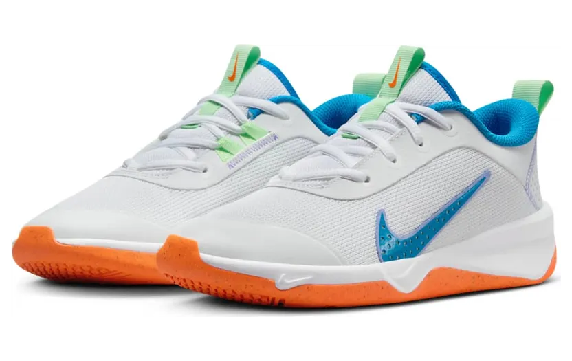 nike-omni-multi-court DM9027-107