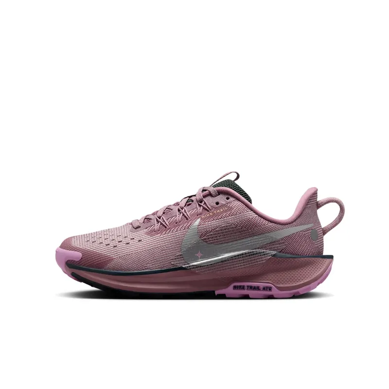 Nike Pegasus Trail 5 Plum Dust Platinum Violet Beyond Pink Metallic Silver (FV5638-500)