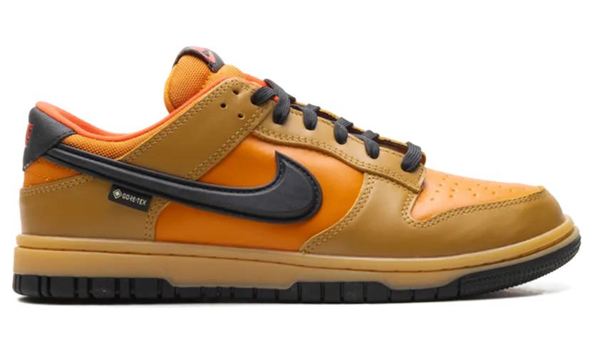 nike-dunk HQ2053-700
