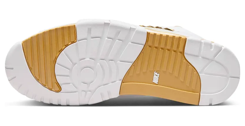 air-jordan-trainer-1 FJ6196-100