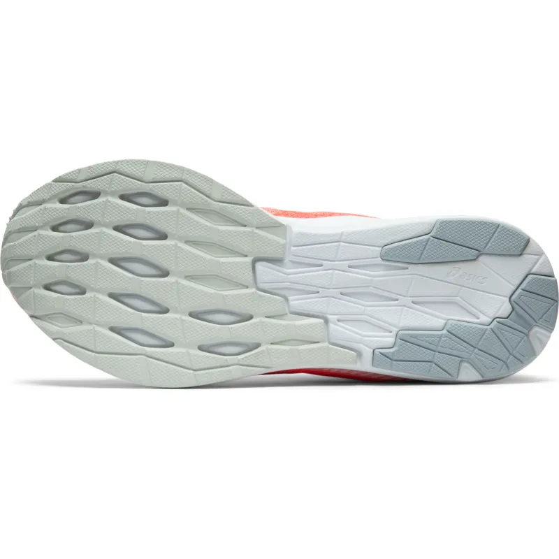 ASICS Evoride (1012A677-700)