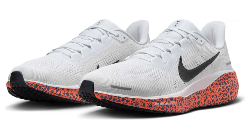nike-air-pegasus FV2229-900