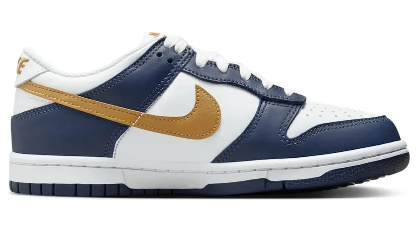 nike-dunk FB9109-111
