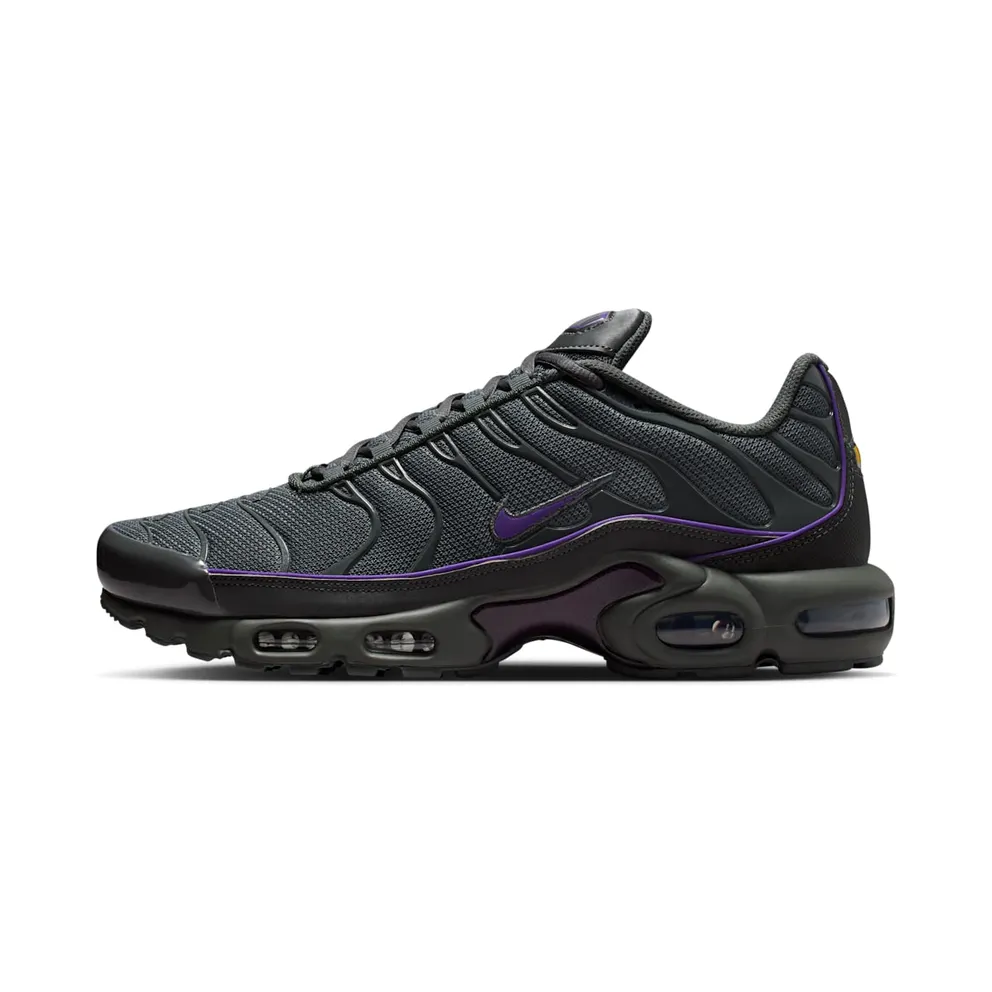 Nike Air Max Plus OG Iron Grey Wild Grape (HV8066-001)