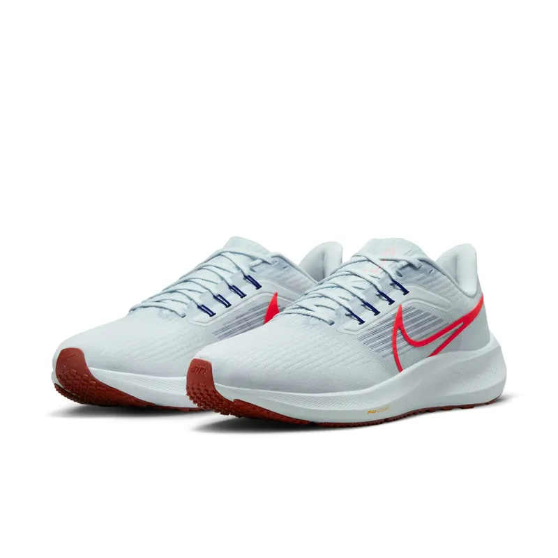 Nike Pegasus 39 “Grey” (DH4071-007)