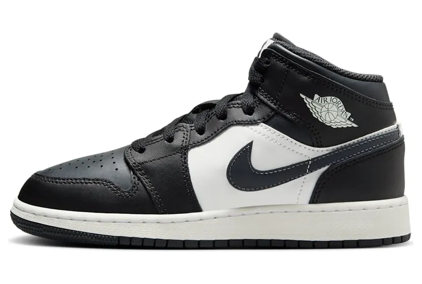 Air Jordan 1 Mid DQ8423-010