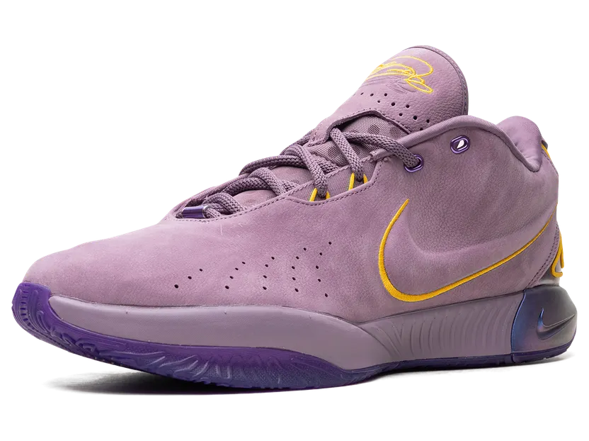 nike-lebron FV2345-500